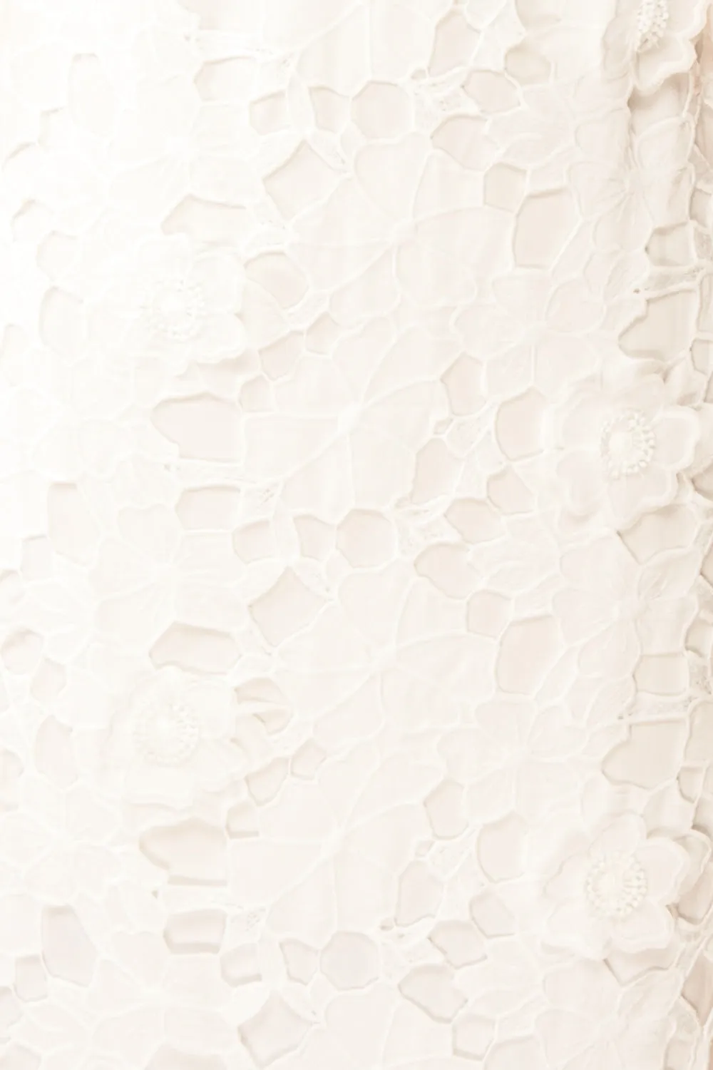 Gulianna | Long White Openwork Lace Dress