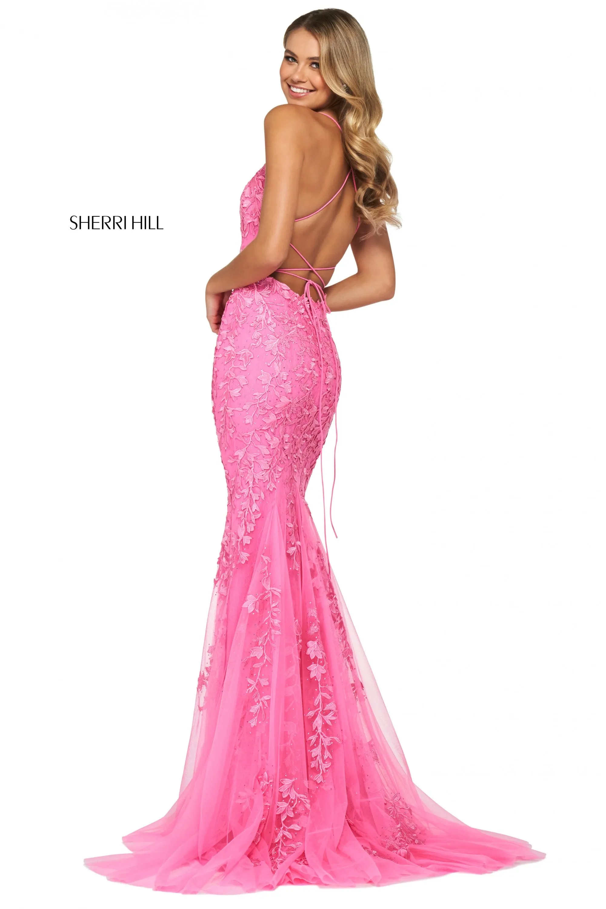 SHERRI HILL 55238