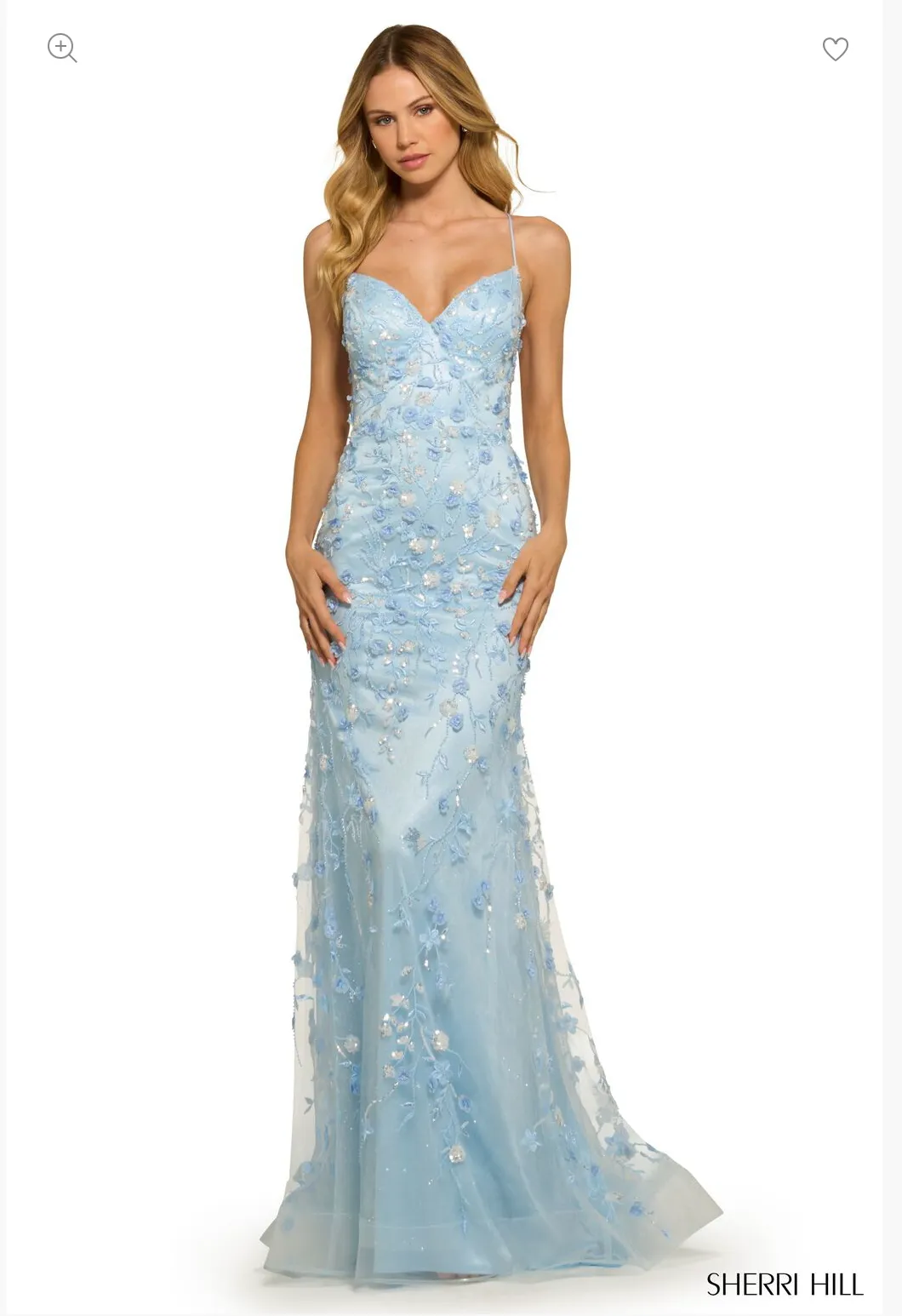 SHERRI HILL 55531